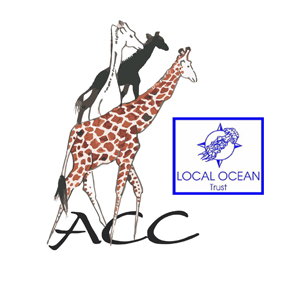 African Conservation Centre US Logo - Illustration of giraffes with ACC below and Local ocean Trust logo to right