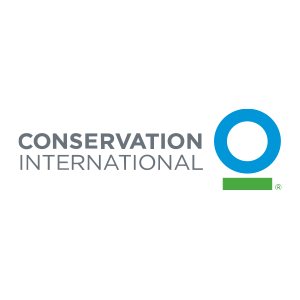 Conservation International Logo - Gray sans-serif type with blue letter o with underline to right