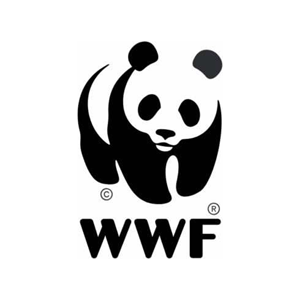 World Wildlife Fund Logo - Panda bear icon with black serif WWF below