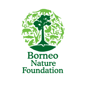 Borneo Nature Foundation Logo - Green tree icon with green serif type below