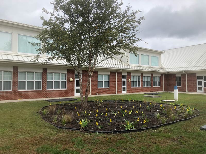 Photo of butterfly garden construction by kids