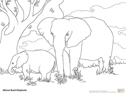 Coloring Page of Elephants