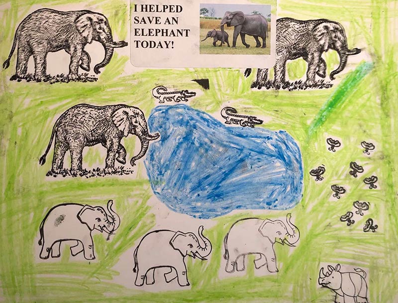 Drawing of Elephants