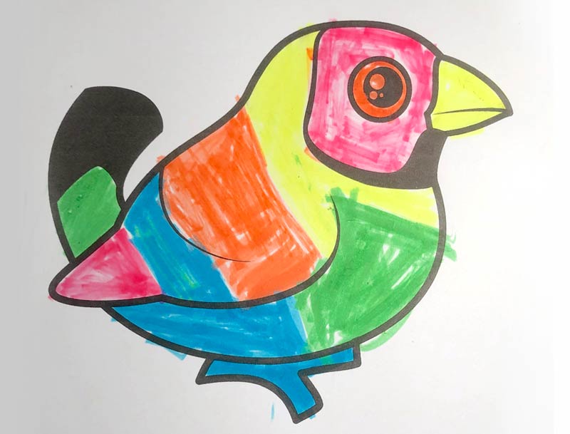 Drawing of a Gouldian Finch