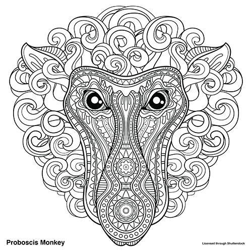 Coloring Page of a Proboscis Monkey