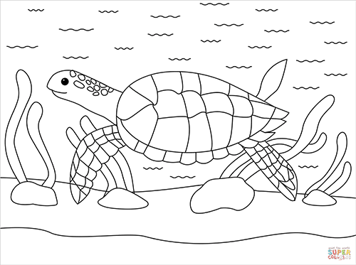 Coloring Page of a Sea Turtle