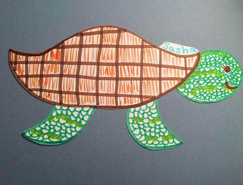 Drawing of Sea Turtles