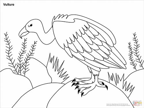 Coloring Page of a Vulture