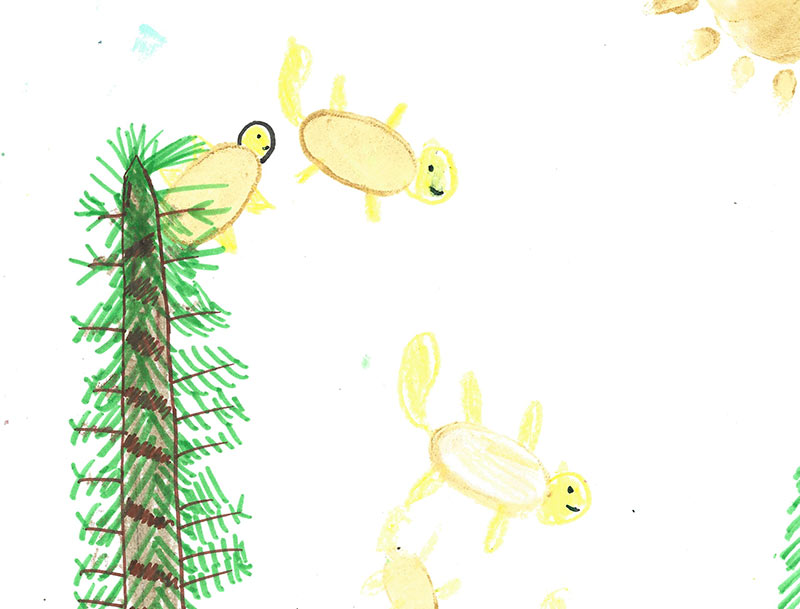 Drawing of a flying squirrel