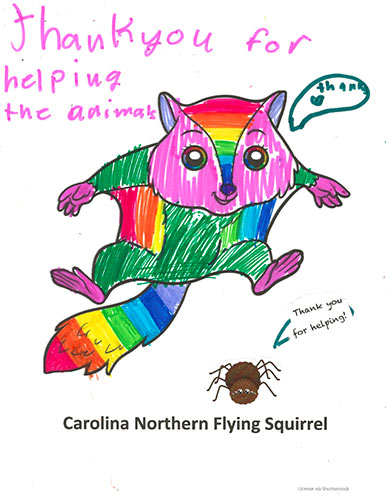 Coloring Page of a flying squirrel