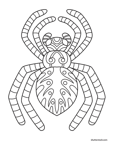 Coloring Page of a spider