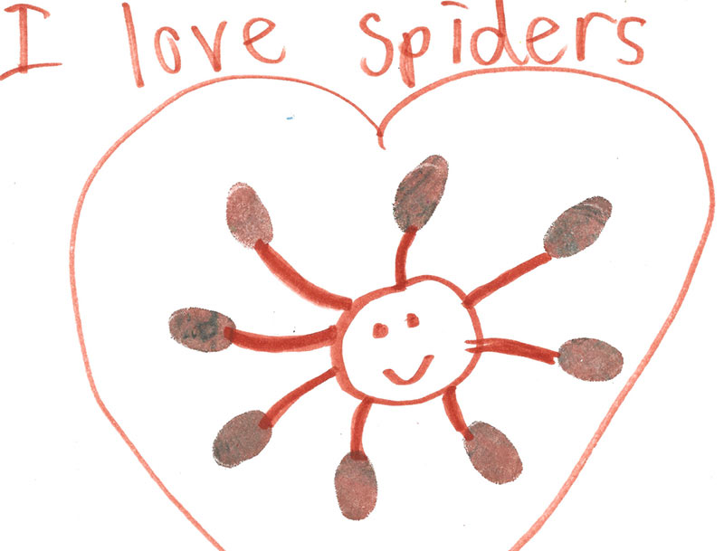 Drawing of a spider