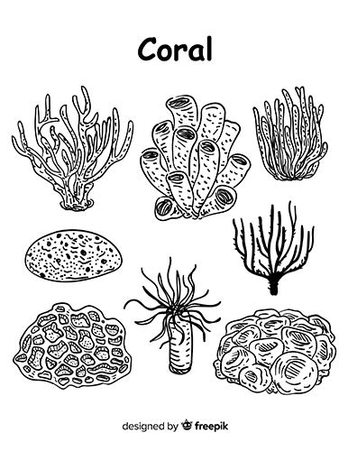 Coloring Page of coral