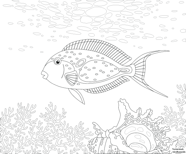 Coloring Page of a parrotfish