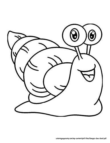Coloring Page of a sea snail
