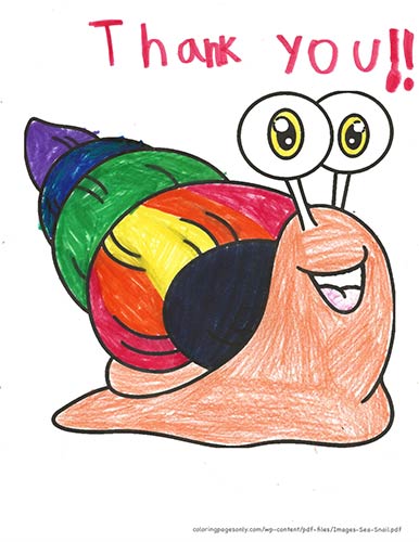 Coloring Page of a sea snail