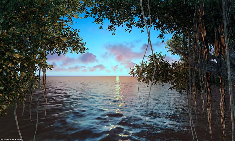 Photo of ocean inlet with trees at sunset