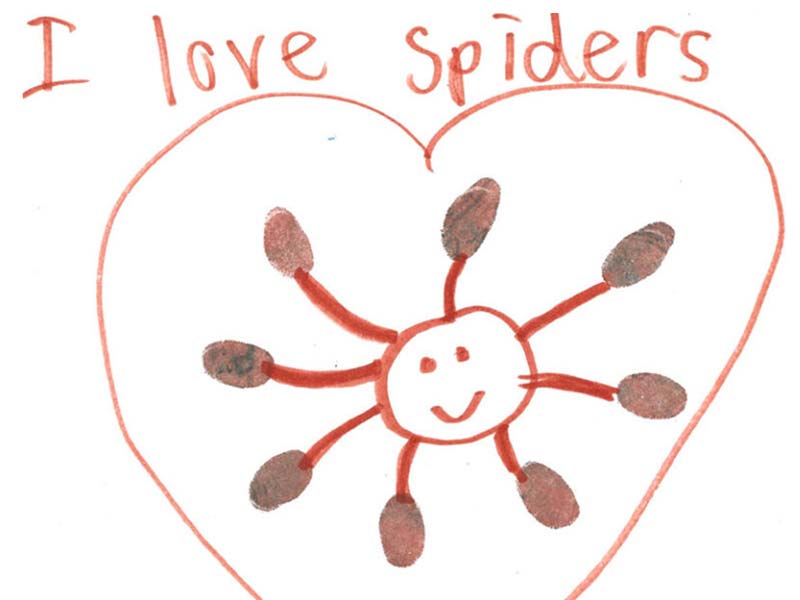 Drawing of a spider